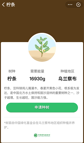 蚂蚁森林，有人做公益，有人赚人民币！  支付宝 免费领取 蚂蚁森林 第4张